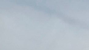 Pinguino en Denmark, Australia