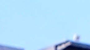 Costa Rica probará jugadores en el amistoso para la Copa Oro 2025.