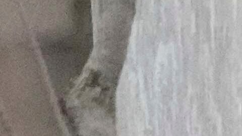 La mujer enfrenta cargos de homicidio imprudente.