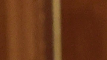 Dmítriev junto a Vladimir Putin.