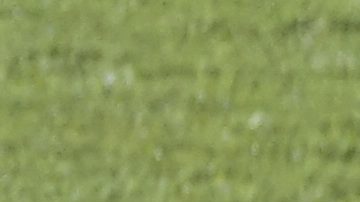 TAS anunció fecha para escuchar los argumentos de León para participar en el Mundial de Clubes