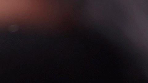 Administración Trump cancela citas de asilo por CBP One