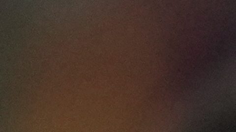 Bolivia hace historia tras clasificar a un Mundial después de 31 años