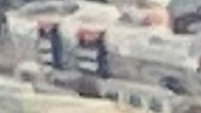 La defensa señala que no existe evidencia del daño de tener transgéneros.