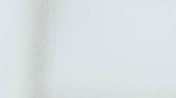 Las organizaciones sin fines de lucro contratadas para implementar el programa culparon a la falta de opciones de vivienda.