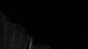 Todos los liberados se encontraban en buen estado físico.