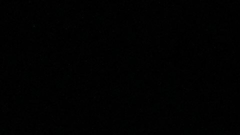 Carlo Ancelotti durante un encuentro de la UEFA Champions League.