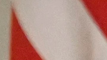 Scott Bessent, secretario del Tesoro, junto a Donald Trump.