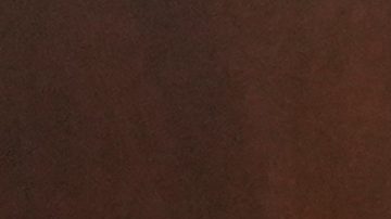 Acusan al médico de Maradona de mentir sobre la última operación al astro argentino y falsificar el informe