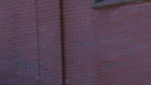 Votantes en Pinkerton Academy en Derry, New Hampshire