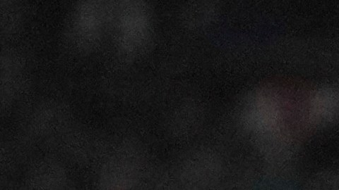 El Newcasatle United buscará una victoria valiosa en la Premier League.