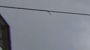 Dos ciclistas murieron mientras participaban en el Tour de Flandes para aficionados