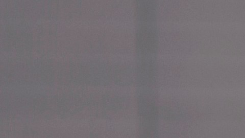 Fredrick podría recibir hasta 20 años de cárcel.