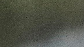 Elon Musk, a la izquierda, estrecha la mano del presidente Donald Trump en la final del campeonato de lucha libre de la NCAA, el sábado 22 de marzo de 2025, en Filadelfia.