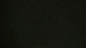 Newson indicó que su administración buscaría nuevos acuerdos comerciales con socios internacionales para eximir a California de los aranceles represalia.