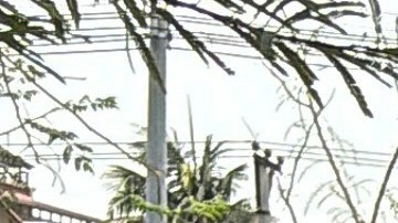 Al menos 22 muertes se produjeron en Tailandia.