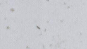 Un bombero de 16 años también murió cuando daba respuesta a las inundaciones.