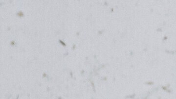 Un bombero de 16 años también murió cuando daba respuesta a las inundaciones.