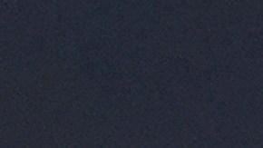 Laura Loomer acompañó a Trump en las ceremonias del 11 de septiembre de 2024 en NYC y Philadelphia