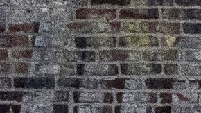 Población china en Nueva York