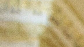 Los estadounidenses ya se han venido manifestando y no le gusta lo que ve en los pocos meses que lleva Trump en el poder, según el líder de la minoría del Senado, Chuck Schumer.