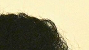 El magnate Elon Musk en una reunión del gabinete de Trump.