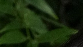 Lauren Sanchez, Katy Perry y Gayle King.