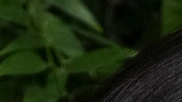 Lauren Sanchez, Katy Perry y Gayle King.