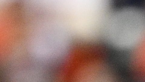 Dominicano Vladimir Guerrero Jr. jura amor eterno a Toronto: “Voy a ser un Blue Jay para siempre”
