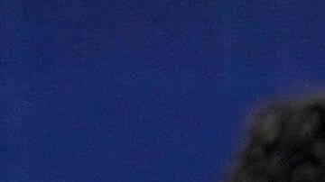 El FC Barcelona buscará sellar su pase a las semifinales de la Champions League.