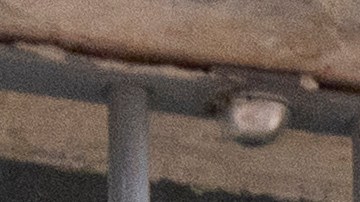 El joven deportado tiene 20 años.