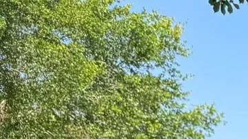 Estudiantes esperan instrucciones de autoridades en la Universidad Estatal de Florida.