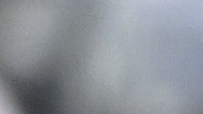 Messi fue parte del triunfo ante Columbus Crew.