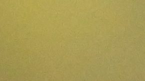 Messi confrontó a un fan de Cristiano Ronaldo tras perder ante Vancouver Whitecaps