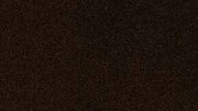 Francisco recorrió la plaza en papamóvil a pesar de sus condiciones de salud, en lo que ahora puede considerarse su último adiós a los fieles.