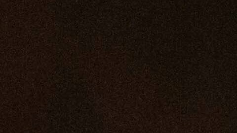 Francisco recorrió la plaza en papamóvil a pesar de sus condiciones de salud, en lo que ahora puede considerarse su último adiós a los fieles.