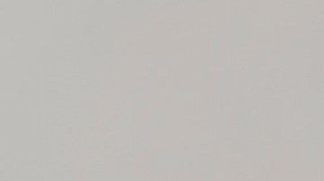 El papa Francisco falleció a los 88 años.