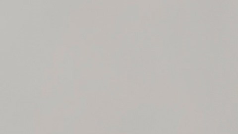 El papa Francisco falleció a los 88 años.
