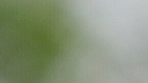 El presidente de EE.UU., Donald Trump