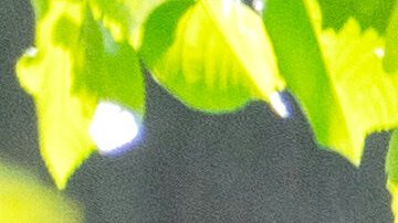 Actualmente una bandera se encuentra en la azotea de la Casa Blanca.