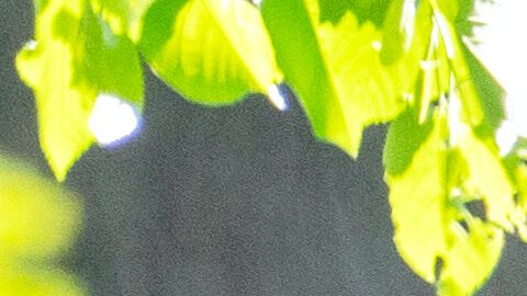 Actualmente una bandera se encuentra en la azotea de la Casa Blanca.