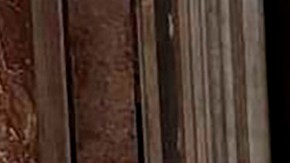 Trump conversando con Zelenski en el funeral del papa Francisco.