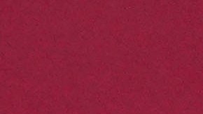 Alexis Mac Allister y Federico Chiesa celebrando la Premier League con el Liverpool.