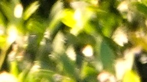 Los funcionarios del gobierno republicano aseguran que Trump alcanza su máximo rendimiento en la Casa Blanca, donde mantiene reuniones y habla con los medios de comunicación casi diariamente.