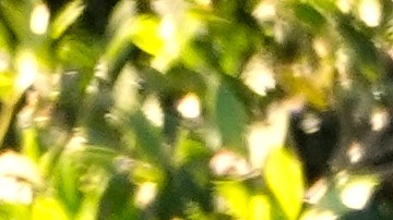 Los funcionarios del gobierno republicano aseguran que Trump alcanza su máximo rendimiento en la Casa Blanca, donde mantiene reuniones y habla con los medios de comunicación casi diariamente.