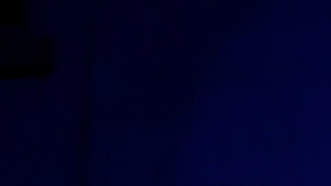 Autoridades de EE.UU. y El salvador sostienen que Ábrego no va a regresar.