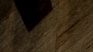 Trump firmó una orden ejecutiva, el 14 de marzo para recortar la financiación a la Agencia para los Medios Globales.