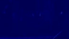 Las autoridades informaron que después del golpe, la camioneta ardió en llamas.