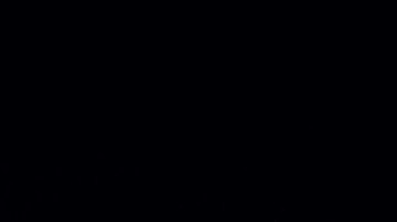 Adamari López, presentadora de televisión.