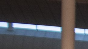 Los beisbolistas ingresaron por el Aeropuerto de Barcelona.